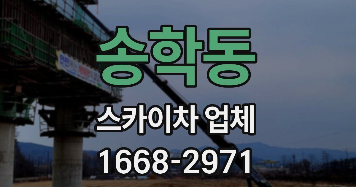 송학동 스카이차 업체