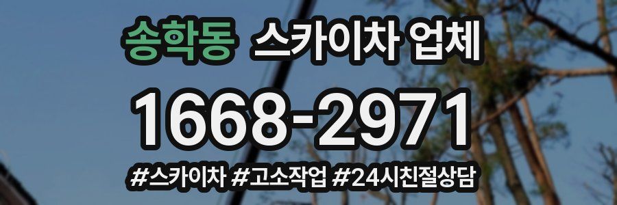 송학동 스카이차 업체