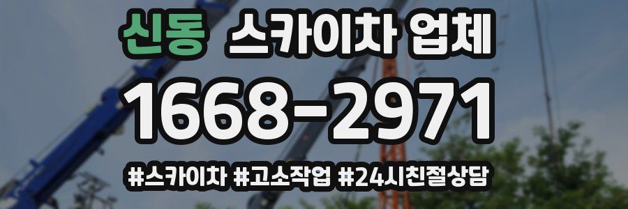 신동 스카이차 업체