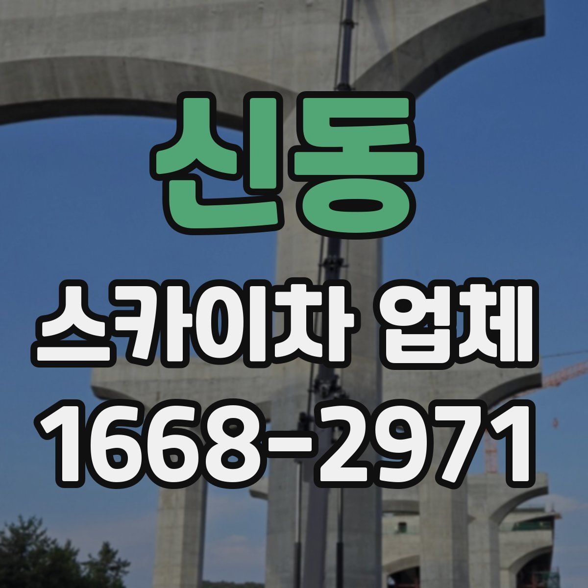 신동 스카이차 업체