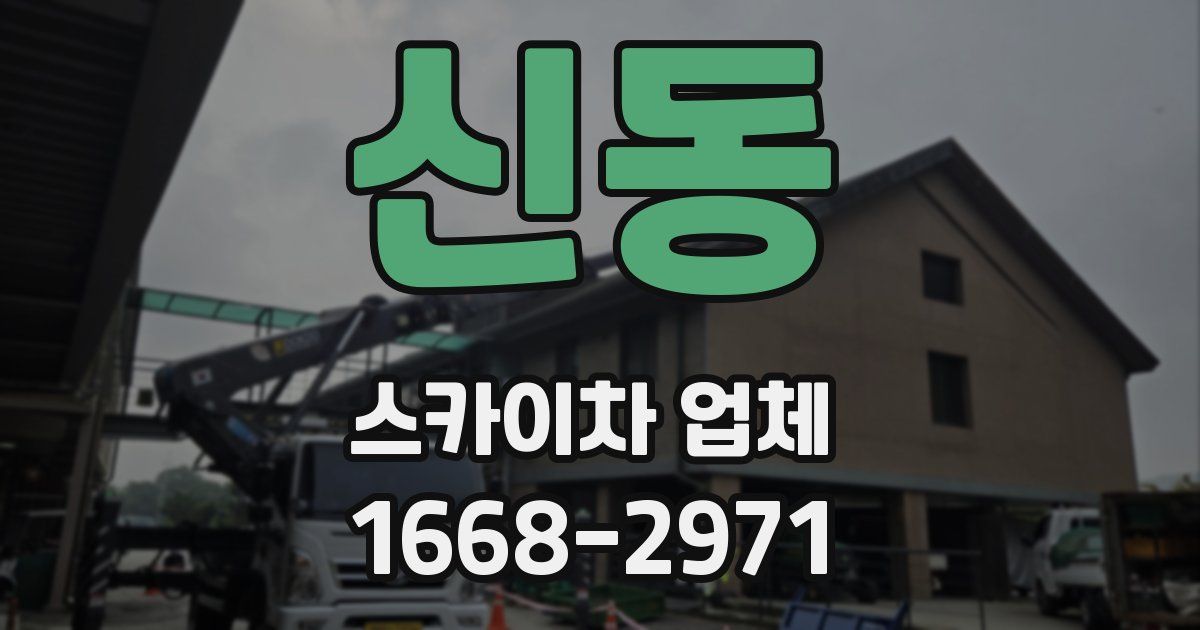 신동 스카이차 업체