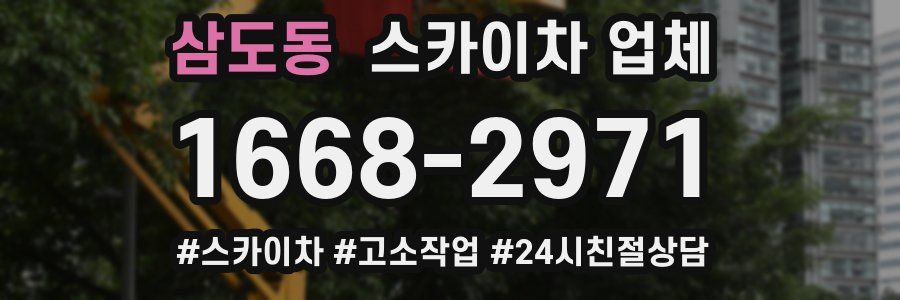 삼도동 스카이차 업체