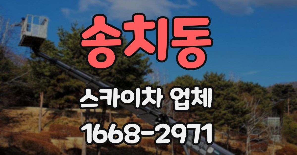송치동 스카이차 업체