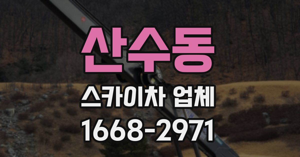 산수동 스카이차 업체