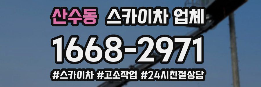 산수동 스카이차 업체