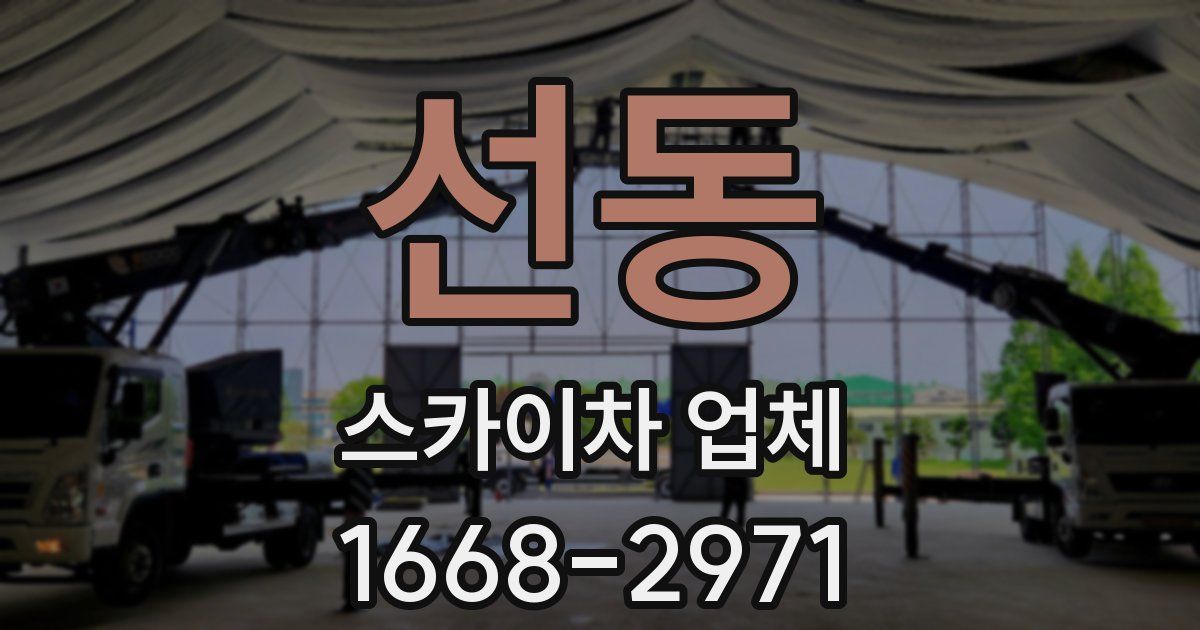 선동 스카이차 업체
