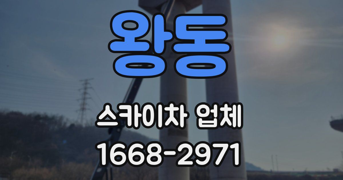 왕동 스카이차 업체