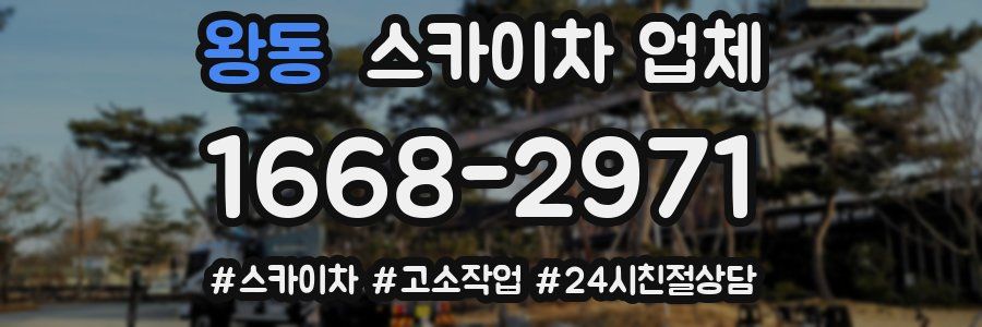 왕동 스카이차 업체