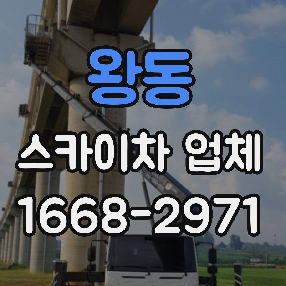 왕동 스카이차 업체