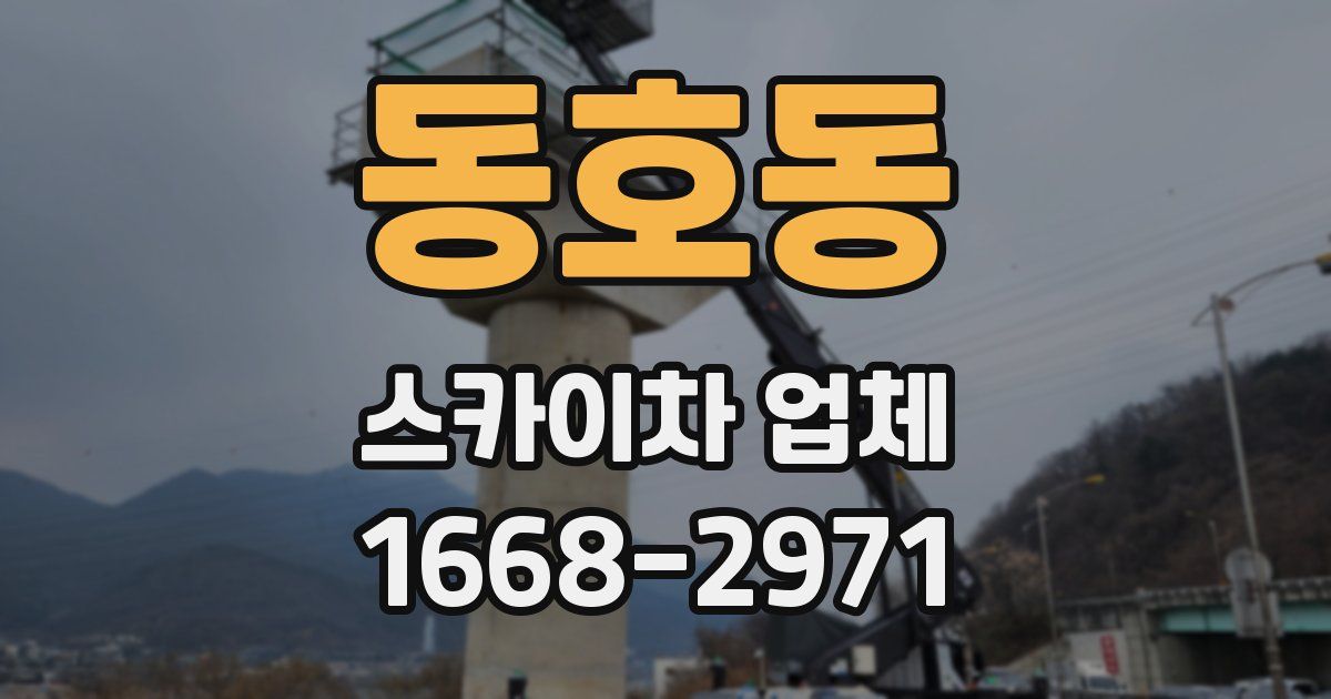 동호동 스카이차 업체