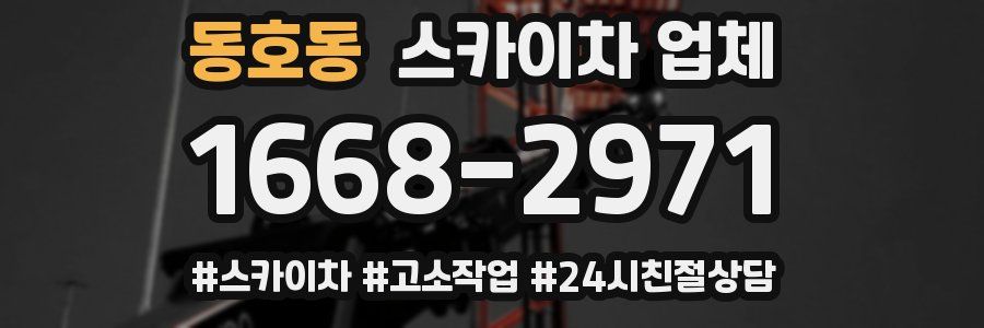 동호동 스카이차 업체