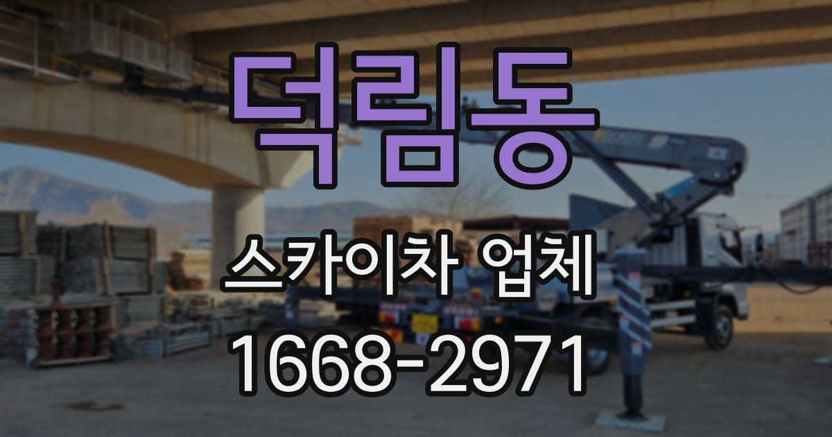 덕림동 스카이차 업체