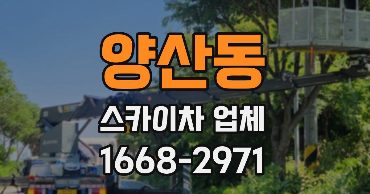 양산동 스카이차 업체