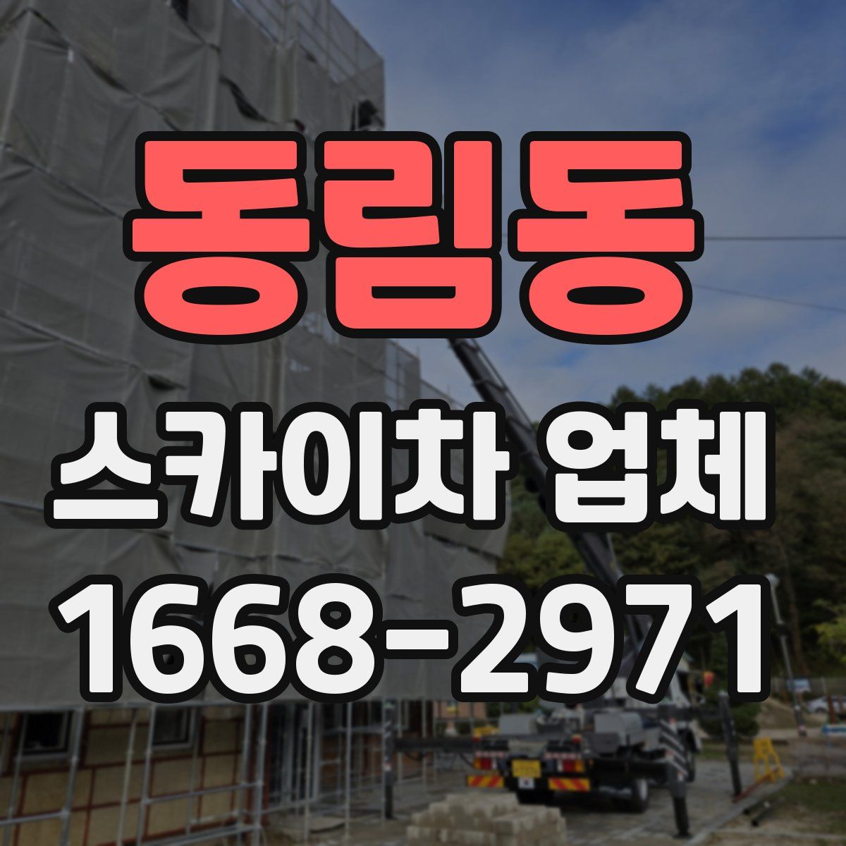 동림동 스카이차 업체