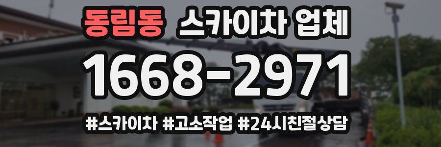 동림동 스카이차 업체