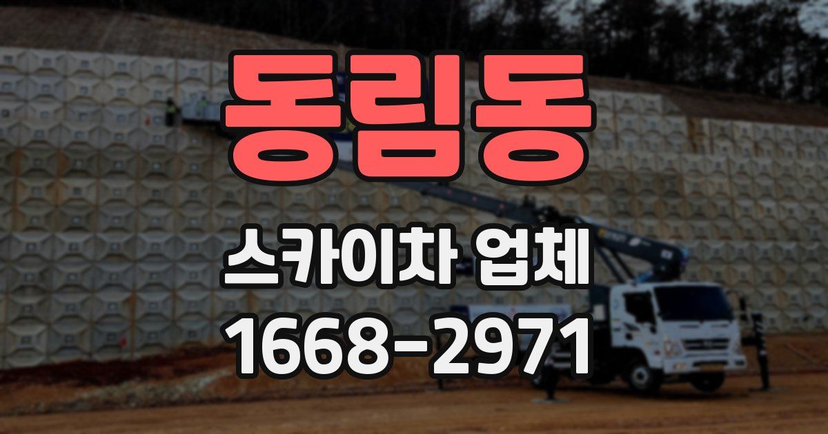 동림동 스카이차 업체