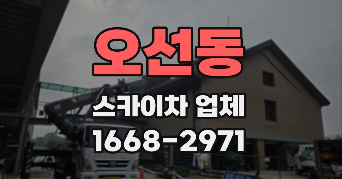 오선동 스카이차 업체