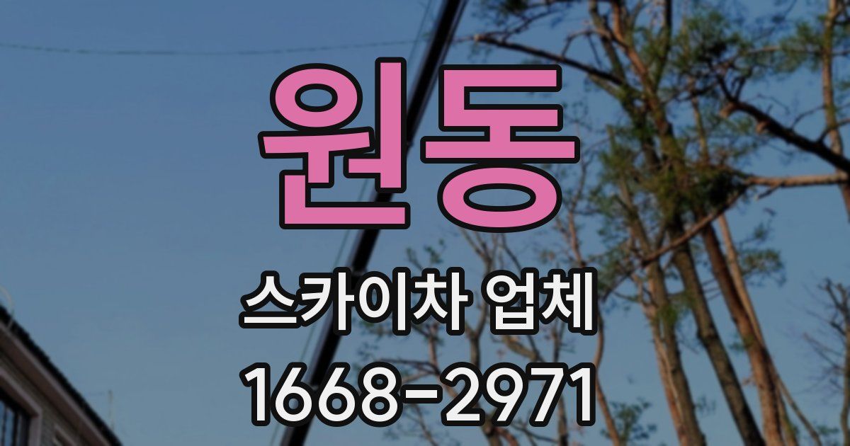 원동 스카이차 업체