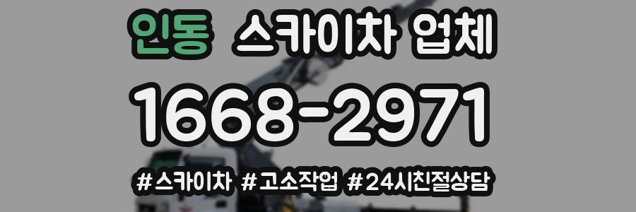 인동 스카이차 업체