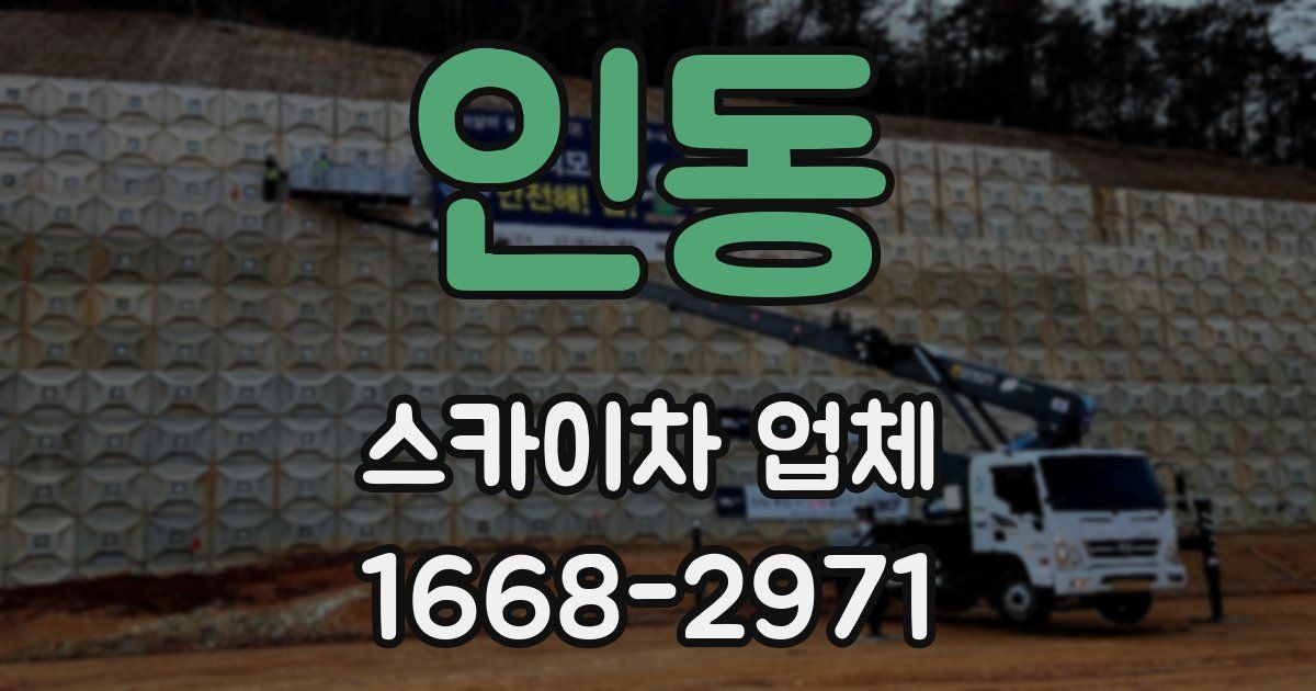 인동 스카이차 업체