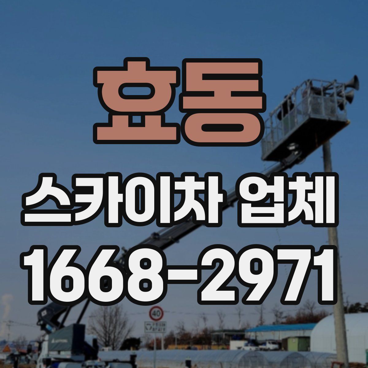 효동 스카이차 업체