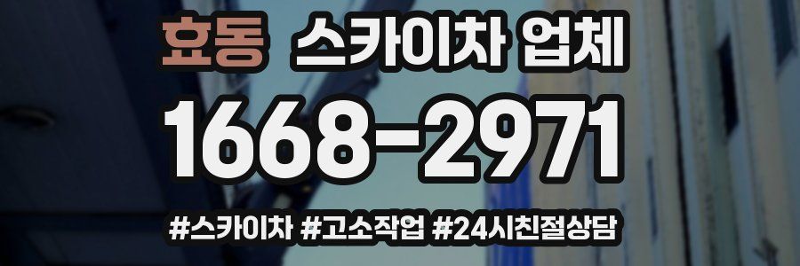 효동 스카이차 업체