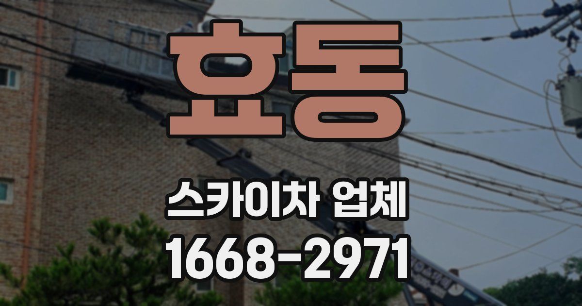 효동 스카이차 업체