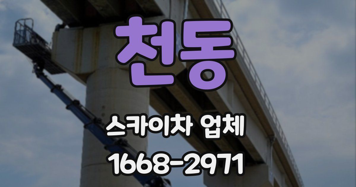 천동 스카이차 업체