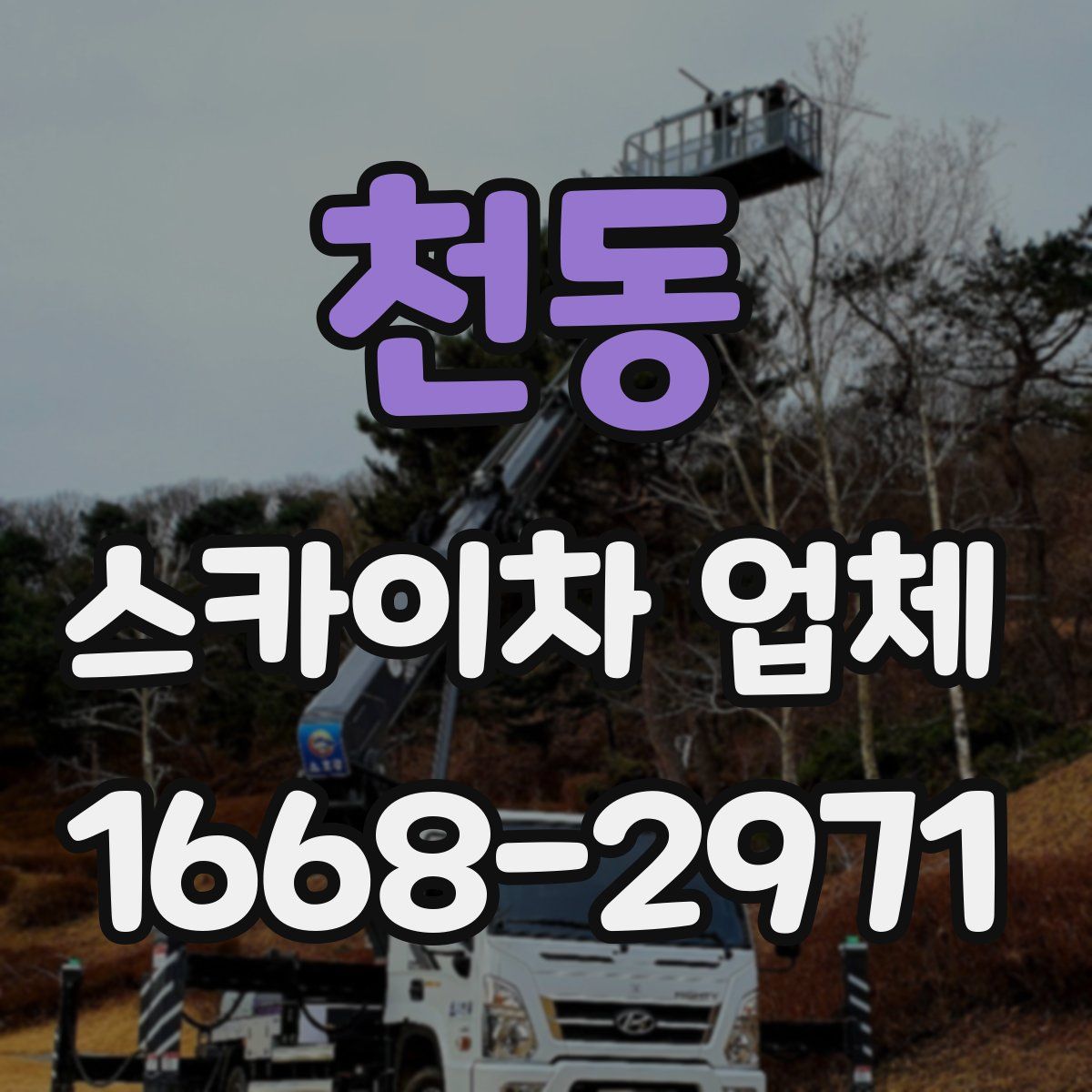 천동 스카이차 업체