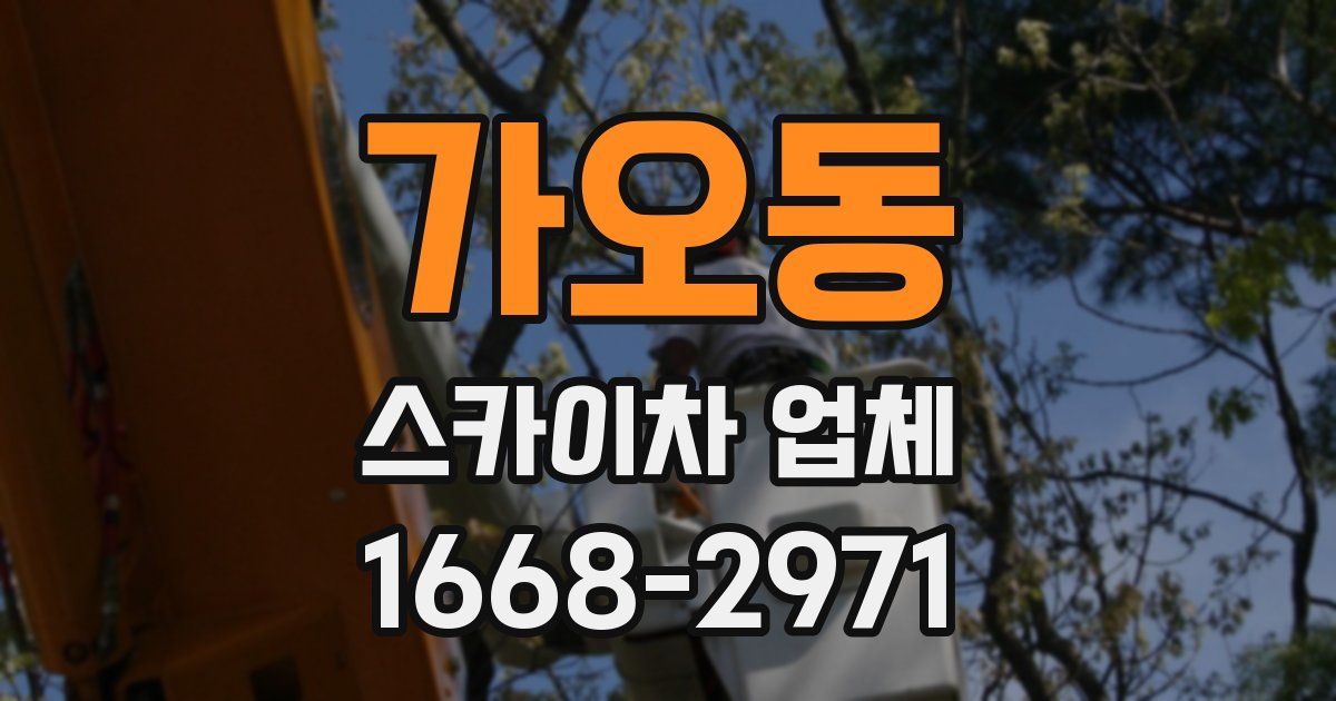 가오동 스카이차 업체