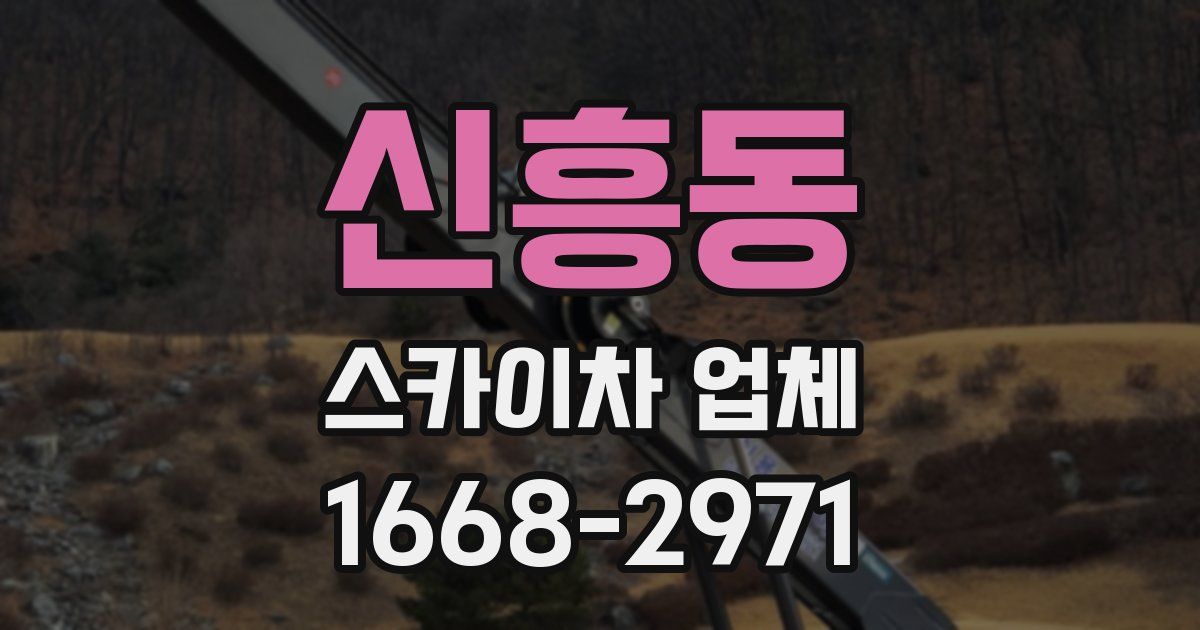 신흥동 스카이차 업체