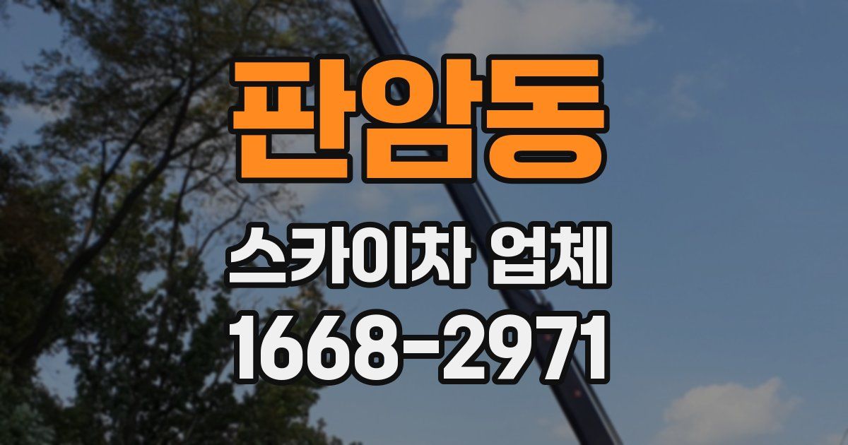 판암동 스카이차 업체