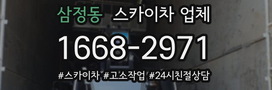 삼정동 스카이차 업체