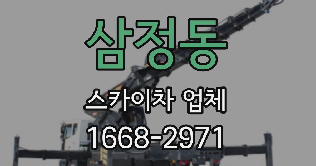 삼정동 스카이차 업체