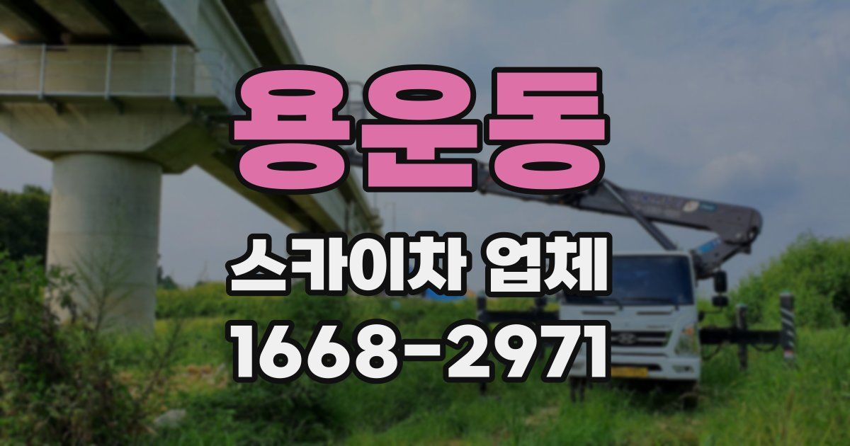 용운동 스카이차 업체