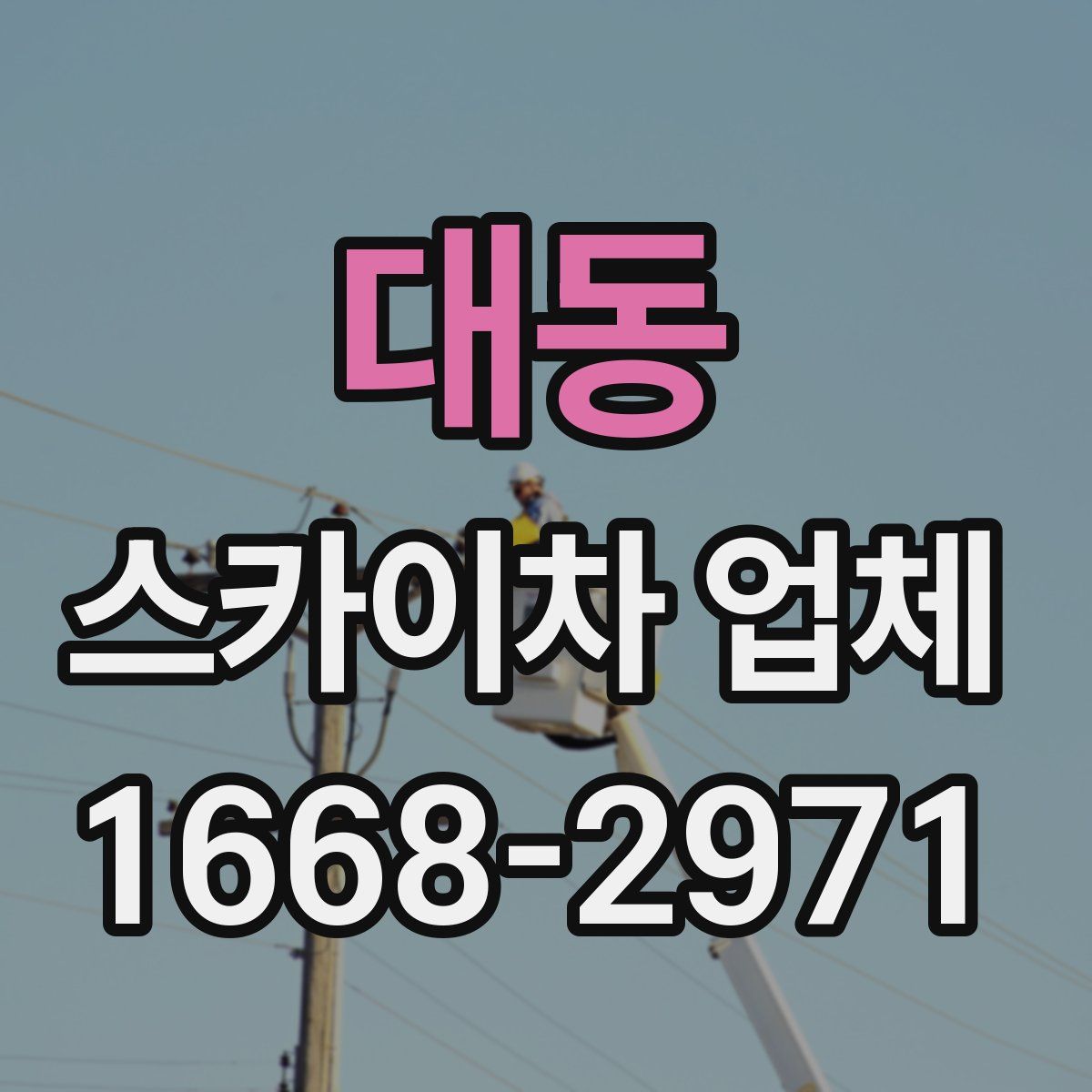 대동 스카이차 업체