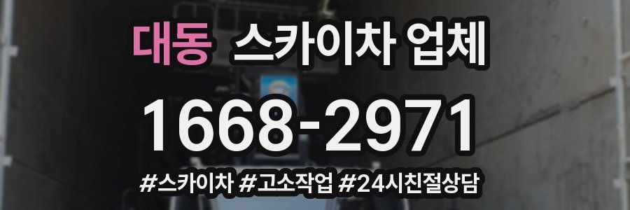 대동 스카이차 업체