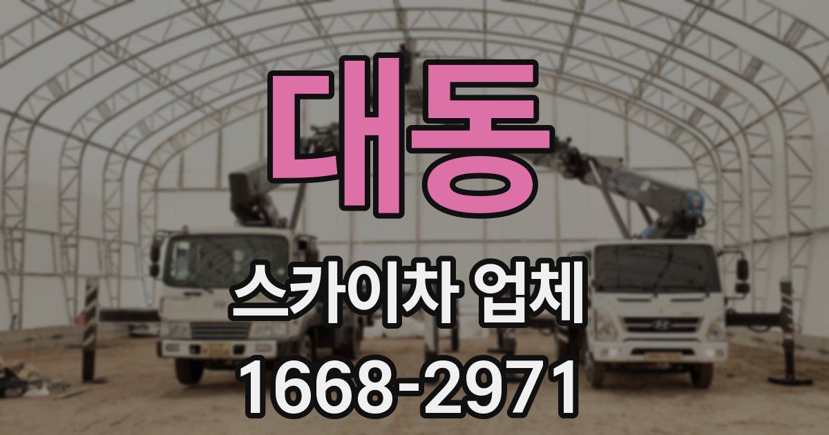 대동 스카이차 업체