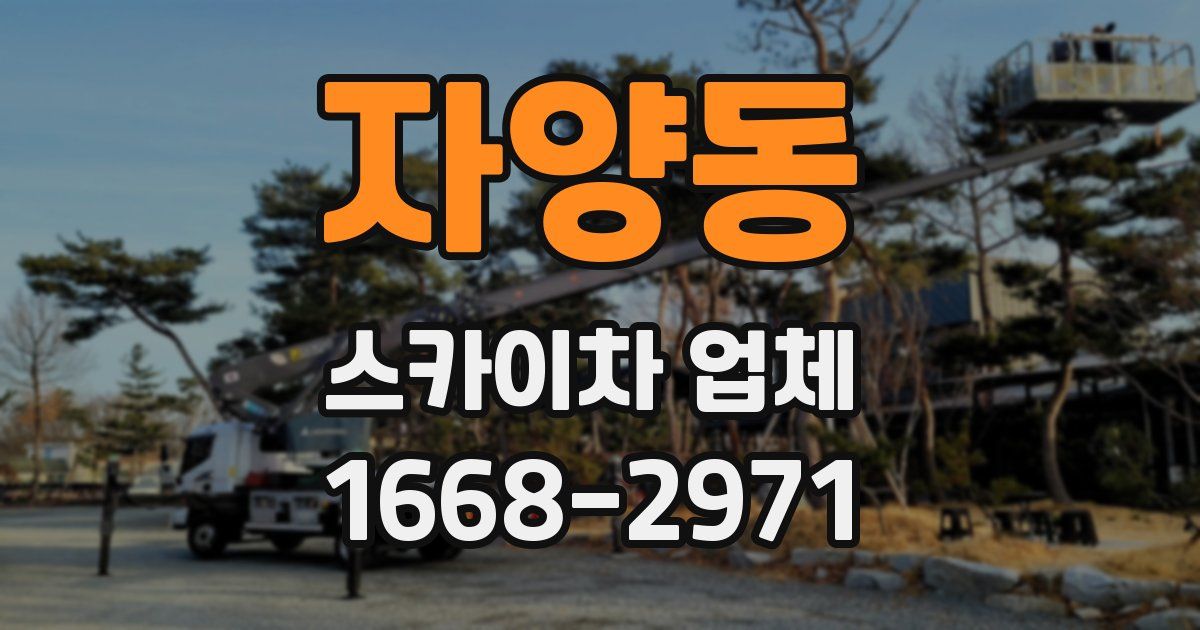 자양동 스카이차 업체