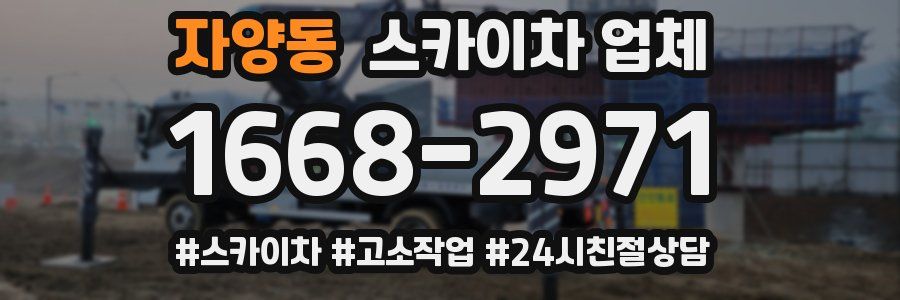 자양동 스카이차 업체