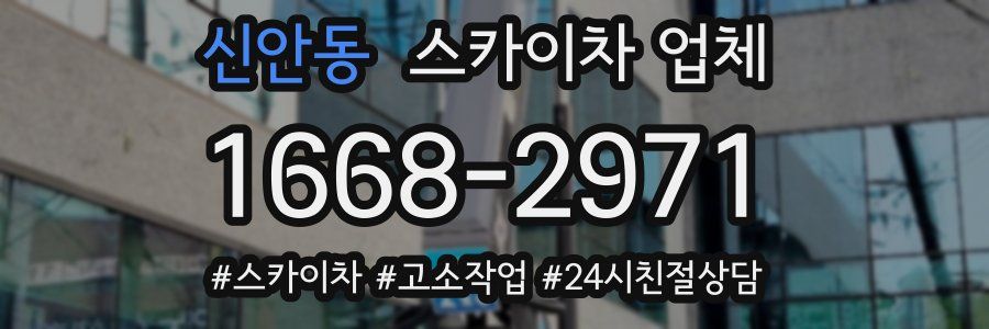 신안동 스카이차 업체