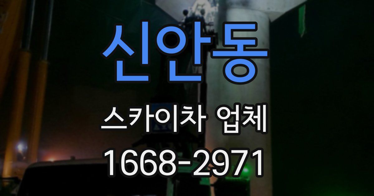 신안동 스카이차 업체