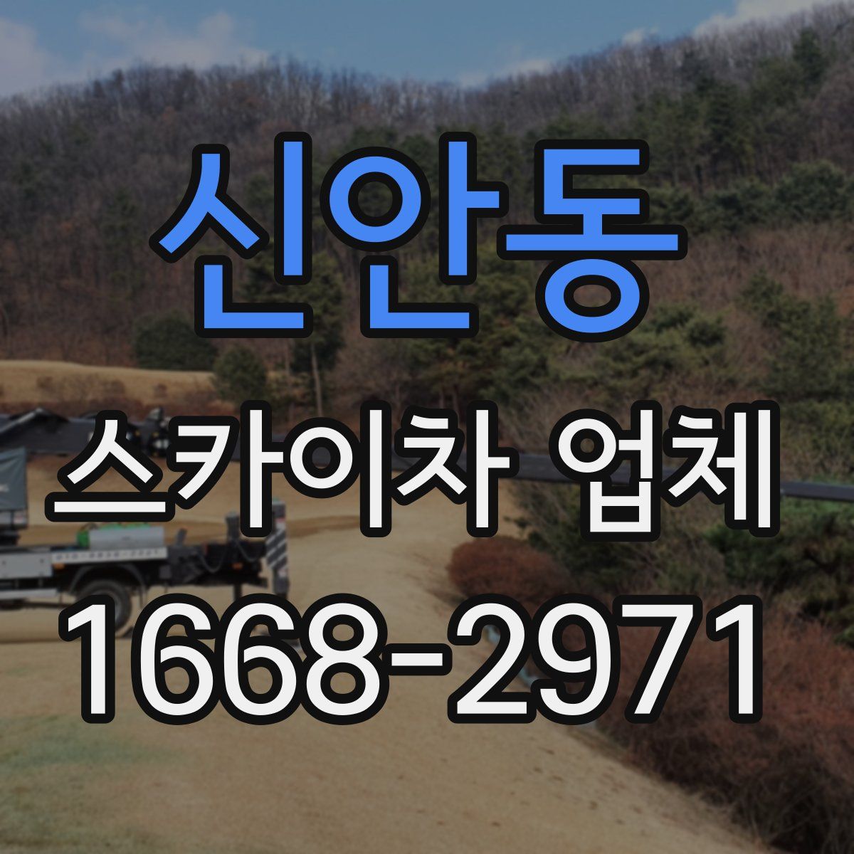 신안동 스카이차 업체
