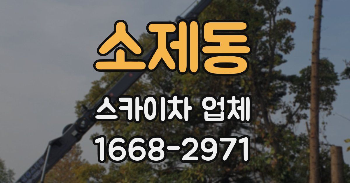 소제동 스카이차 업체