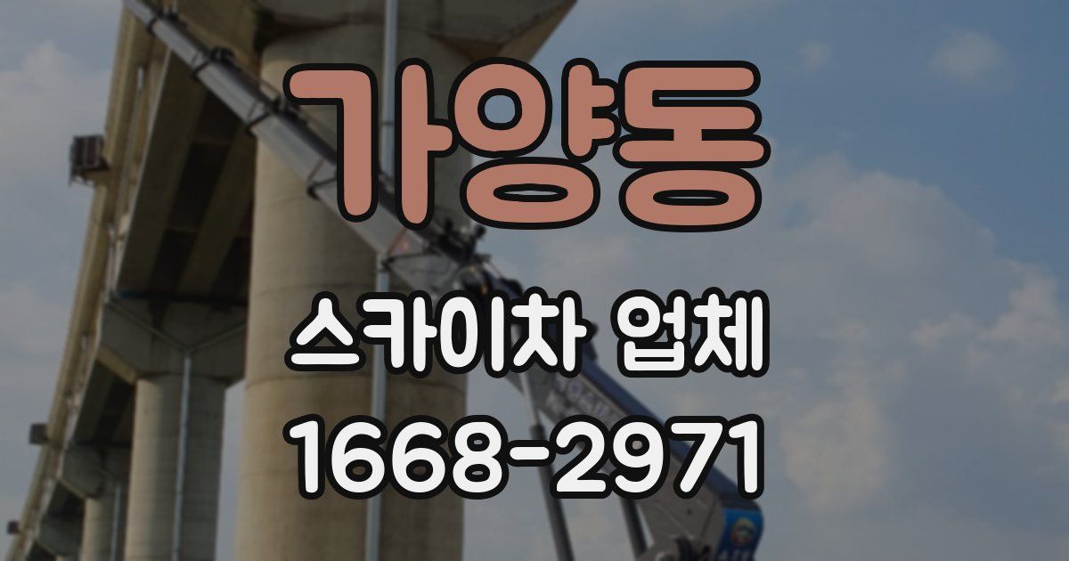 가양동 스카이차 업체