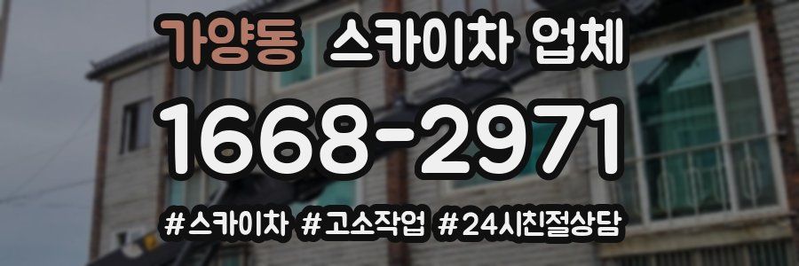 가양동 스카이차 업체