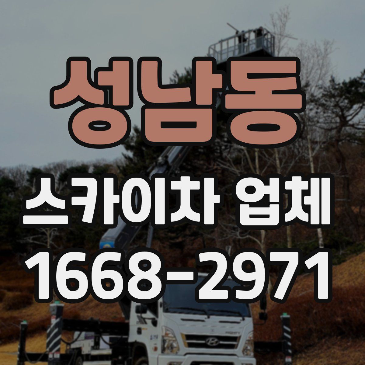 성남동 스카이차 업체