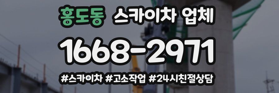 홍도동 스카이차 업체
