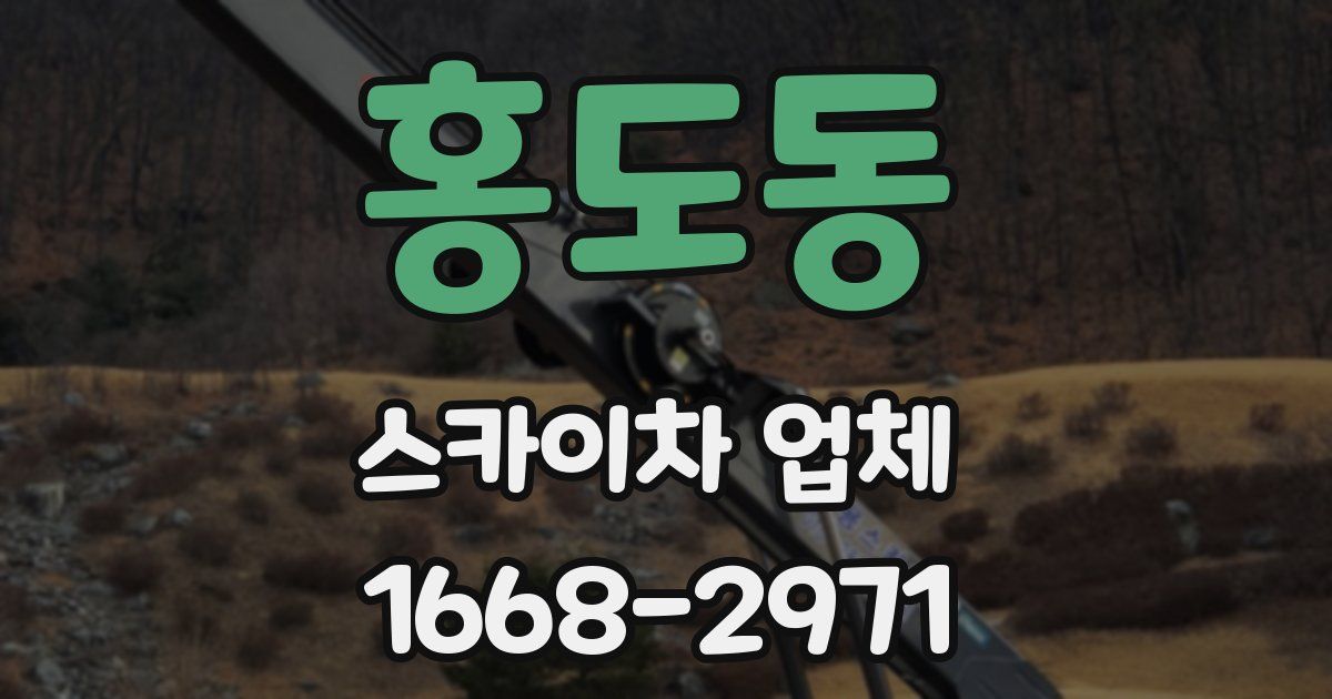 홍도동 스카이차 업체