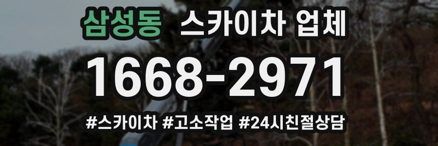 삼성동 스카이차 업체